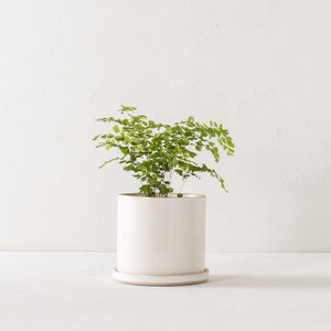 Sand Minimal Planter